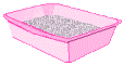 girls' litterbox