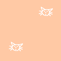 peach background