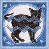 Aquarius Cat