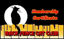 Back Fence Cat Club