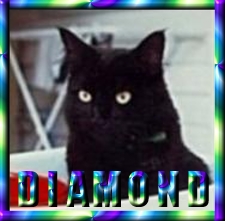 Diamond