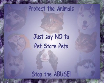 No Petstore Pets!