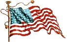 USA Flag