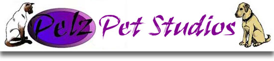 Pelz Header: Pelz Pet Studios