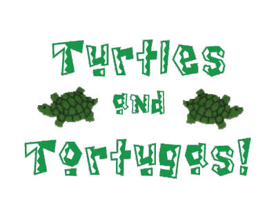 Turtles_and_Tortugas