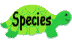 Species