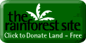 The Rainforest Site