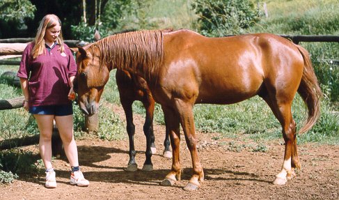 Laura and Shane in his paddock