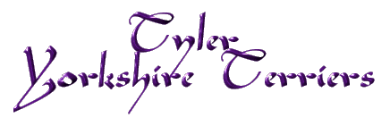 Tyler Logo