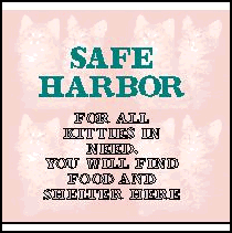 Safe Harbor