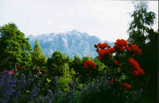 Jardin pleno verano