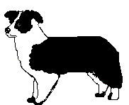 Pet15.gif (2199 bytes)