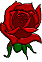 rrRose2Icon.gif (2413 bytes)