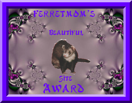 beautiful site award