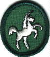 Eielson AFB Junior Troop #6 Logo