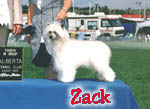 Click here to see more of Zack!