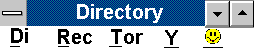 DIRECTORY (8k).  So it looks like Windows 3.1?  Yeah?  So?  Ah been codin' html since you was only knee-high to a grasshopper, boy...