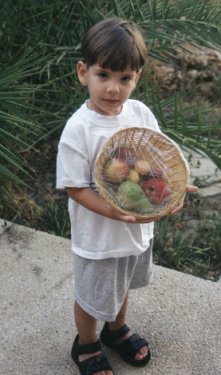 [Yovel with a basket of fruit]