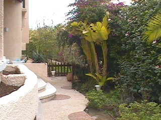 the path leading to the front door