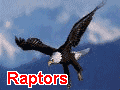 Raptors