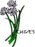 chives