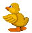 duckr