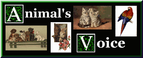 Visit the Animal's VoiceHomePage and join the ring!