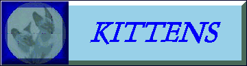 Kitt1.gif (8288 bytes)