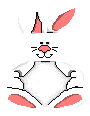 bunny