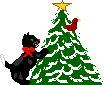 cat and tree