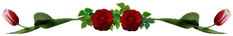 ROSE DIVIDER.GIF (9211 bytes)