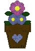 pot of flowers