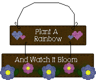 plant a rainbow and watch it bloom