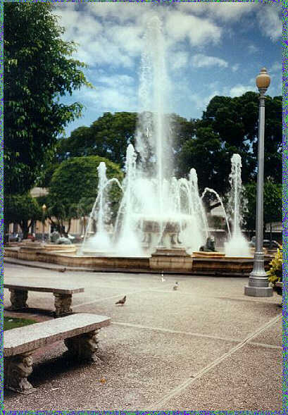 The Fountain