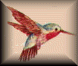 Hummingbird