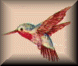 Hummingbird