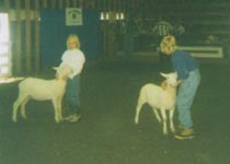 Catey (left) and Leslie(right)
showing sheep