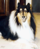 Photo of Jasper