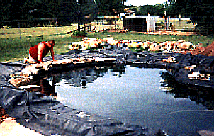 Hubby laying rocks