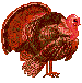 The Turkey