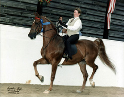 Debi Hager and Sunami