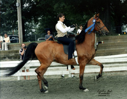 Nobia riding Margaret at Dallas