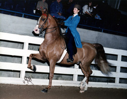 Cynthia Matson & Bold Irish Spirit (Formerly owned by Sandy Mangum)