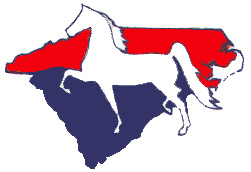 American Saddlebred Association of the Carolinas