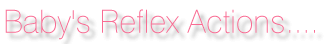 reflex.gif (6105 bytes)