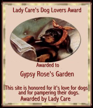 Lady Care Award