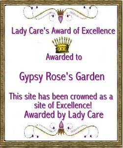 Lady Care Award