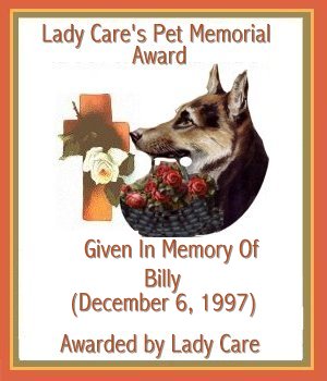 Lady Care Award