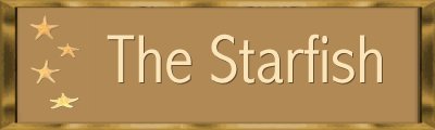 Star Fish Banner