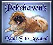 Mickey's Neat Site Award